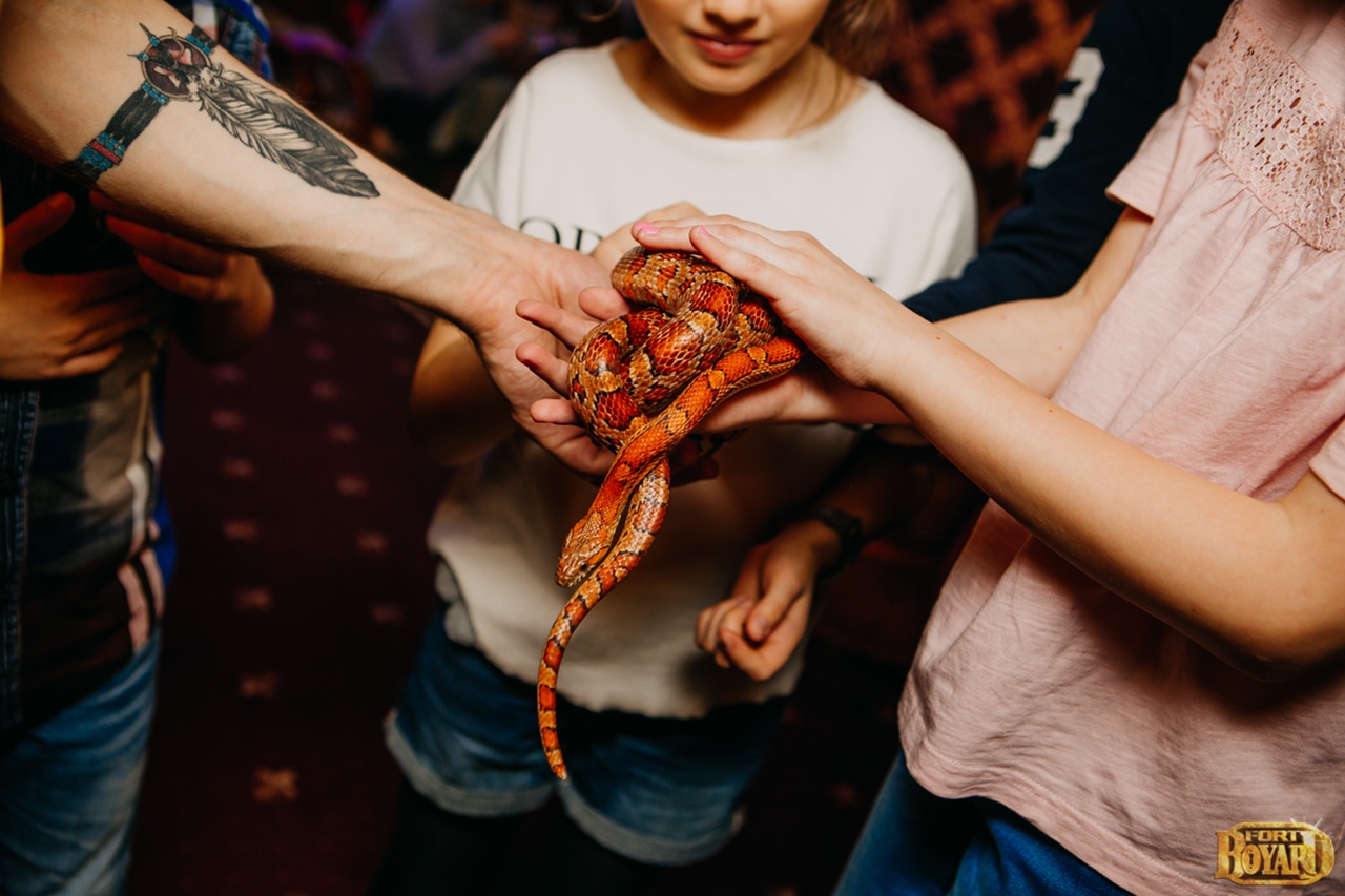Встреча с настоящими крысами и змеями
